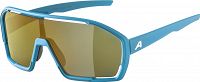 Okulary Alpina BONFIRE Q-LITE - kolor Smoke-Blue